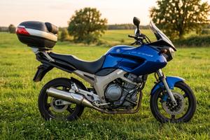 Yamaha TDM 900 del 2003