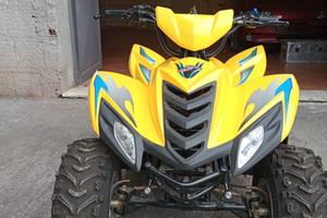 Mini Quad Dinli Cobia 50cc