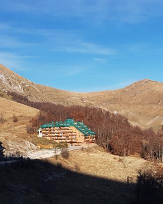 Trilocale Terminillo fronte bosco
