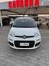 fiat-panda-1-0-firefly-s-s-hybrid-city-cross
