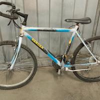 Mountain bike wander