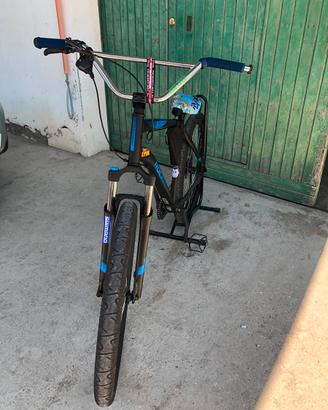 Wheelie bike