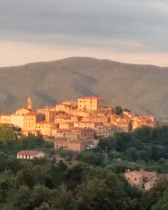 Appartamento indipendente nel borgo di PARI