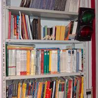 LIBRI  SCOLASTICI DI ARTE