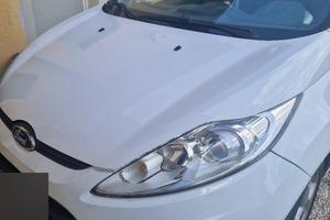 ford fiesta gpl