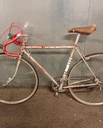 Bicicletta da corsa olmo