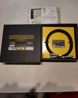 Nanotec Systems MUSIC STRADA #211/F2-RCA