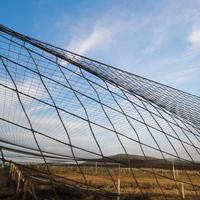 Rete antiuccelli maglia 8cm x 8cm