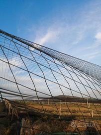 Rete antiuccelli maglia 8cm x 8cm