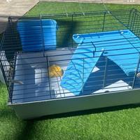 Gabbia per animali criceti porcellini d india