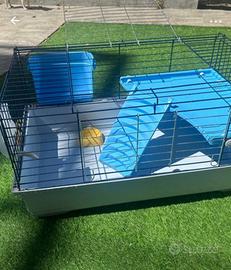 Gabbia per animali criceti porcellini d india