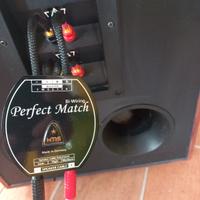 hms perfect match biwiring 
