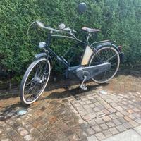 Leopoldo Tartarini uomo