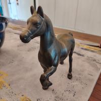 ottone cavallo
