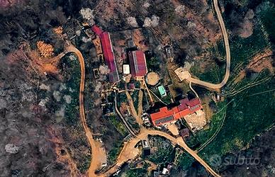 Azienda agricola GREEN, in produzione