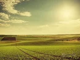 Terreno di 1700 m² a Lonato del Garda