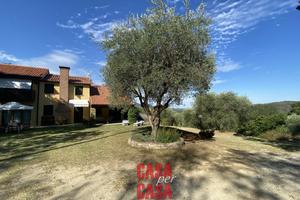 Rustico nel cuore dei colli euganei.