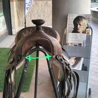 Sella Americana JALISCO