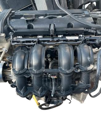 MOTORE SNJB FORD FIESTA (08-13) CB1 1.2 B 16V 60KW