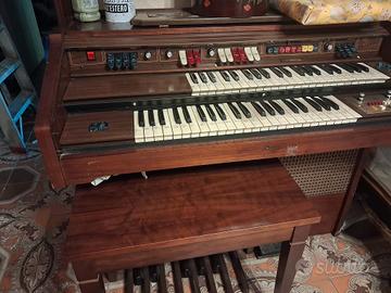 organo 