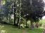 Immagine 19