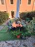 terratetto-cerreto-guidi-1-0520vrg-