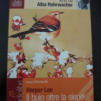 Il buio oltre la siepe, di Harper Lee - audiolibro