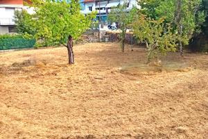 Terreno edificabile per villetta mono familiare