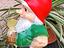 Immagine 3
