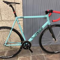 Fixed Iride Betulla