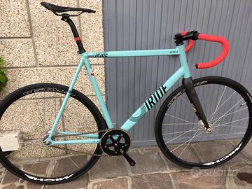Fixed Iride Betulla