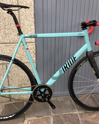 Fixed Iride Betulla