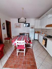 Pineto ultima disponibilità