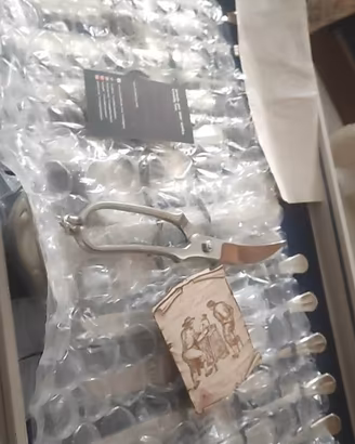 Posate Completo Pinti Inox