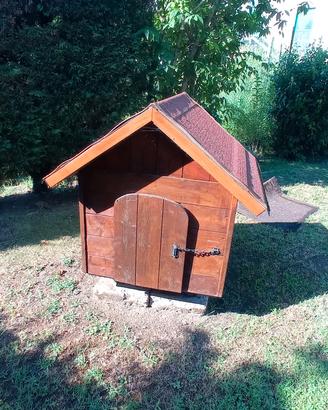 casetta per cane