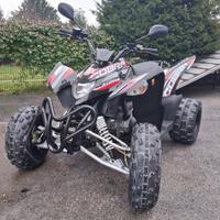 PREZZO STOCK*QUAD TARGA BIANCA AEON COBRA SX 400cc