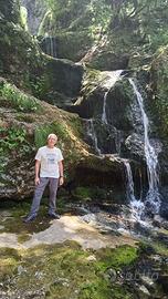 Consulente aziendale / team leader