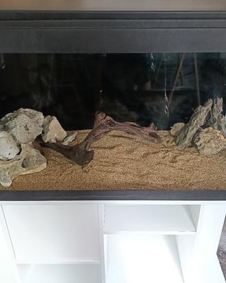 Acquario 350 litri