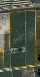 Terreno agricolo ha 8,60