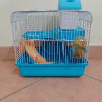Gabbia per criceti Piccola