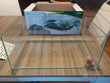 kit - Tartaruga d'acqua