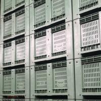 Cassoni in plastica per ortofrutta come nuovi