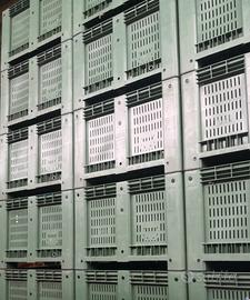 Cassoni in plastica per ortofrutta come nuovi