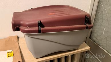 cestino o portapacchi da bici