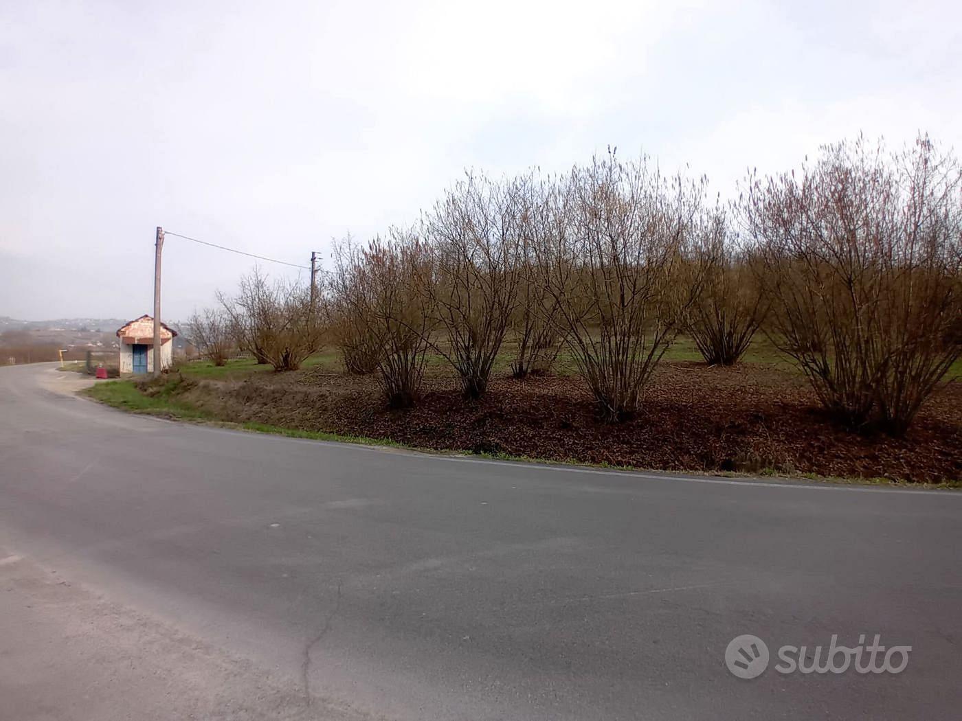Terreno Agricolo La Morra [2TVCG] - Vista 4