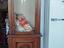 Immagine 3