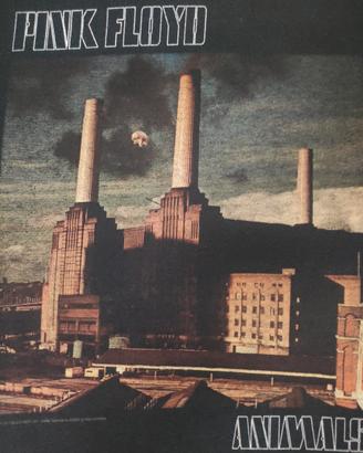Pink Floyd T Shirt Vintage 2011 Official 