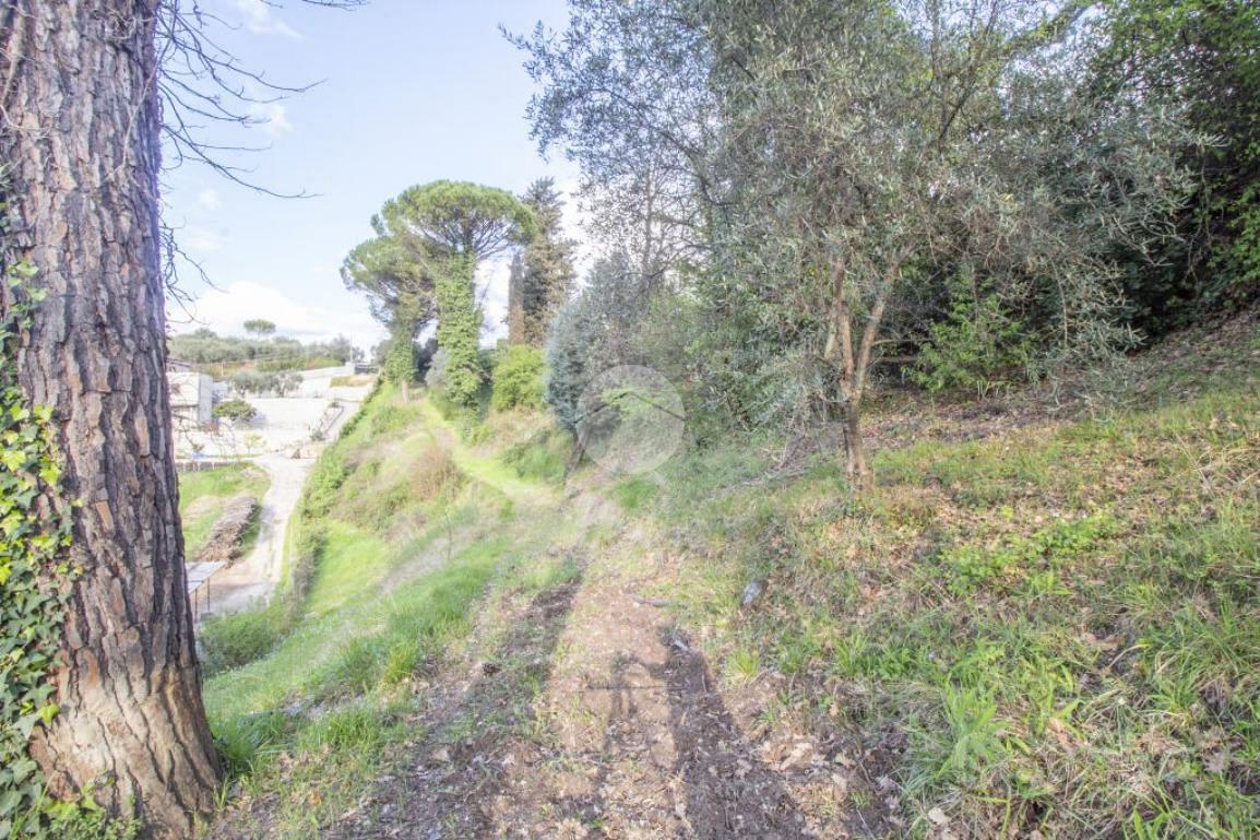 TER. AGRICOLO A PALOMBARA SABINA - Vista 2