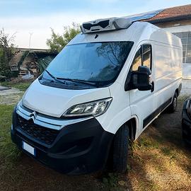 Citroën Jumper isotermico ATP positiva Scaffalato