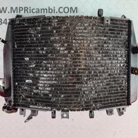 RADIATORE ACQUA KAWASAKI NINJA 900 2000 2001 ZX 9R